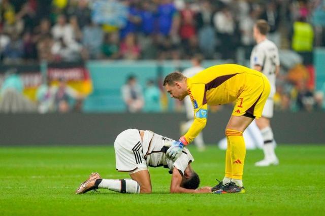 1669932148364017767.jpg Fi7HzAaWICM0TG4.jpg